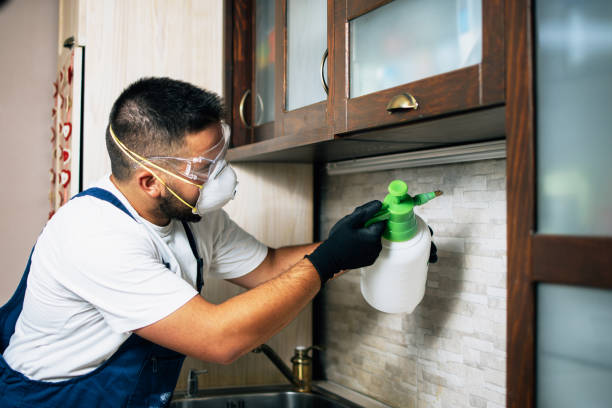 Best Emergency Pest Control  in Lewistown, IL