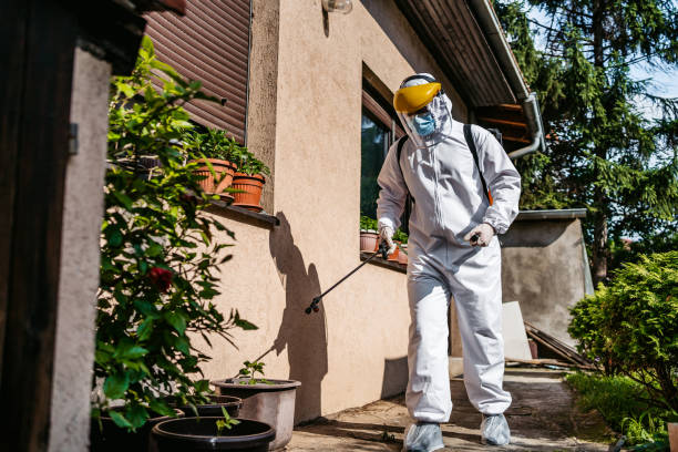 Best Affordable Pest Control Services  in Lewistown, IL