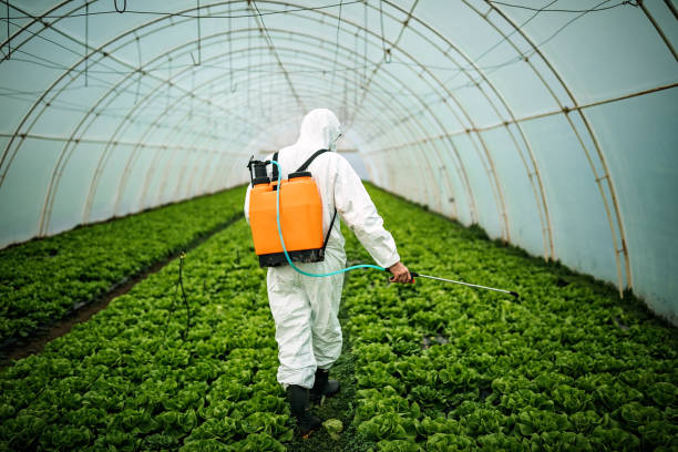 Best Pest Removal Services  in Lewistown, IL