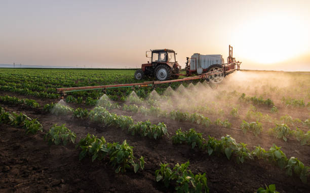 Best Commercial Pest Control Services  in Lewistown, IL