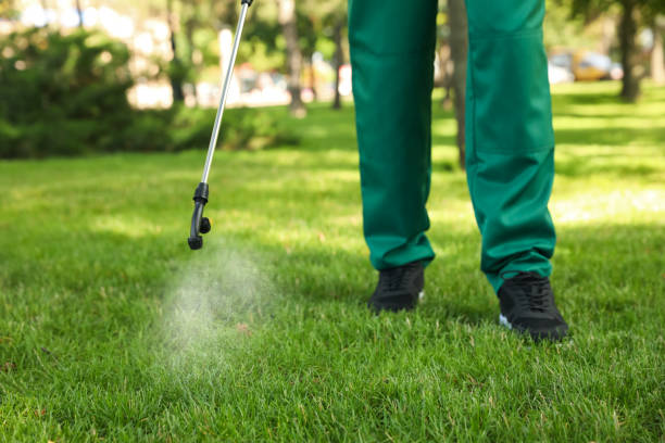 Best Pest Control for Restaurants  in Lewistown, IL