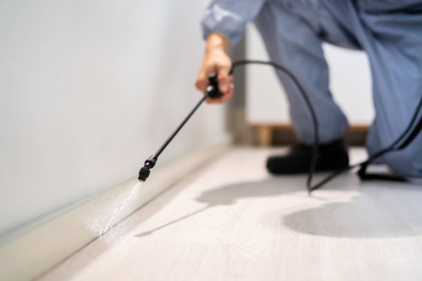 Pest Control for Restaurants in Lewistown, IL