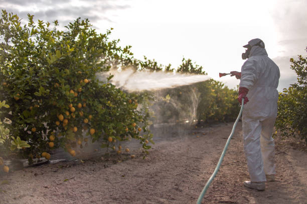 Best Pest Inspection Near Me  in Lewistown, IL