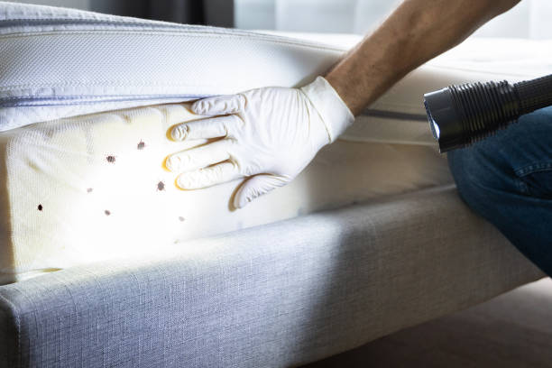 Best Pest Prevention Services  in Lewistown, IL