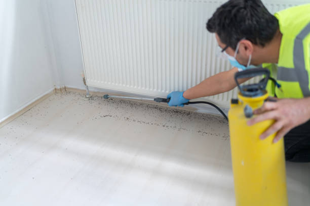 Best Pest Control Near Me in Lewistown, IL