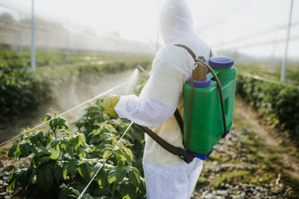 Best Bed Bug Extermination  in Lewistown, IL